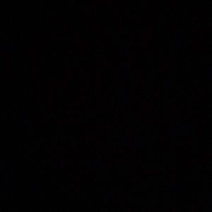 Meet your Posher, Daisy